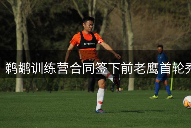 鹈鹕训练营合同签下前老鹰首轮秀，上赛季他在湖人的表现非常一般